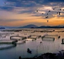南京伴游中国网景点丰富(旅游网介绍)