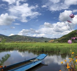 南京旅游游记(旅游游记怎么写)