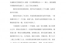 南京旅游感想(张家界旅游感想)