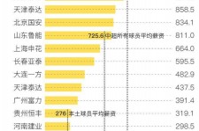 南京关于伴游小丽中国足球的信息