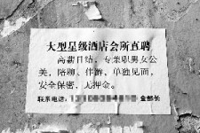 南京珠海伴游雇用网(珠海游览社雇用信息)