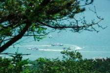 南京中国伴游网与你分享旅游的点滴(中国伴游网与你分享旅游的点滴是什么)