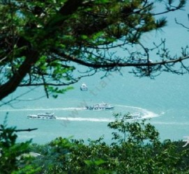 南京中国伴游网与你分享旅游的点滴(中国伴游网与你分享旅游的点滴是什么)