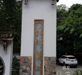 南京关于伴游中国伴游你们伴得是什么游的信息
