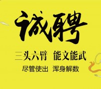 南京私人伴游招聘 一线二线城市招聘大圈中圈小圈女孩商务模特佳丽女模名媛招聘高薪一单一结