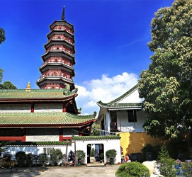 南京广州自由行(广州 自由行)