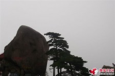 南京上海伴游私家陪游雇用女模(上海伴游私家陪游雇用女模特)