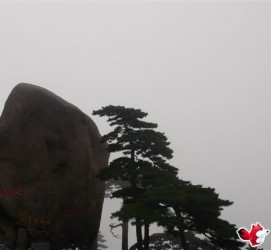 南京上海伴游私家陪游雇用女模(上海伴游私家陪游雇用女模特)