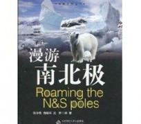 南京游记攻略(ps西游记攻略)