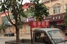 南京上海伴游 用伴游造句大全(5