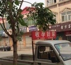 南京上海伴游 用伴游造句大全(5