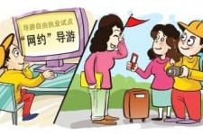 南京伴游是什么
