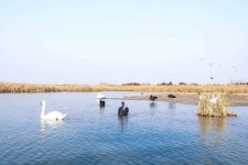 南京南昌附近伴游小妹兼职(1534939978姐的微信德惠市)