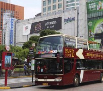 南京上海私人伴游 上海过年怎么玩？这些“微游”线路了解下→