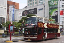 南京上海私人伴游 上海过年怎么玩？这些“微游”线路了解下→