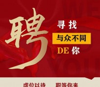 南京商务伴游招聘 重庆星级酒店诚招司机服务员夜场保安