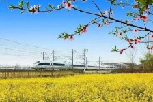 南京高铁游(高铁游戏下载手机版)