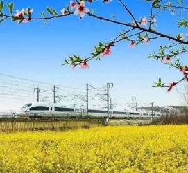 南京高铁游(高铁游戏下载手机版)