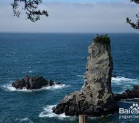 南京旅游全攻略(上海旅游全攻略)