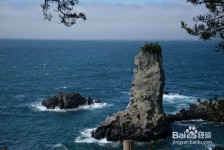 南京旅游全攻略(上海旅游全攻略)