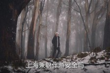 南京上海私人伴游 上海伴游，上海兼职伴游安全吗