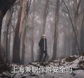南京上海私人伴游 上海伴游，上海兼职伴游安全吗