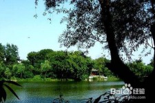 南京西湖旅游攻略(上海到杭州西湖旅游攻略)