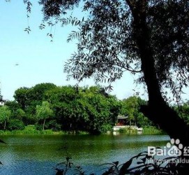 南京西湖旅游攻略(上海到杭州西湖旅游攻略)