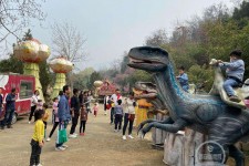 南京中国伴游带你打卡网红南山竹海(南山竹海网上预约)