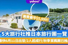 南京旅游价格(旅游价格机制)