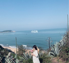 南京厦门周边游(厦门及周边旅游攻略)