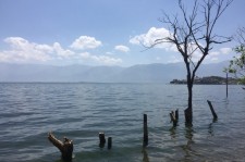 南京洱海旅游攻略(洱海旅游攻略自由行)
