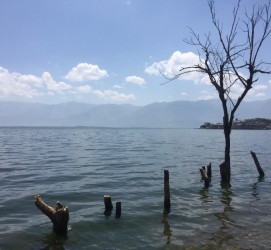 南京洱海旅游攻略(洱海旅游攻略自由行)