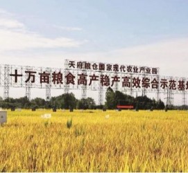 南京关于成都商务伴游外围雇用的信息