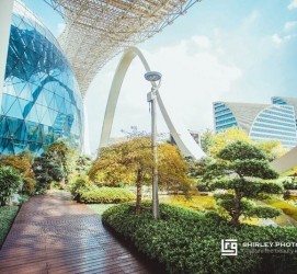 南京杭州外围伴游雇用(杭州外围雇用经纪人)