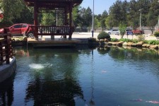 南京久久伴游**(久久游代理)