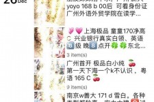 南京外围伴游雇用圈套(雇用伴游什么样子的是实的)