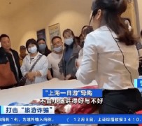 南京上海私人伴游 看·法｜100元游上海？！“旅社”涉嫌诈骗被一窝端