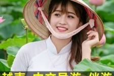 南京日本关东伴游中国(日本关西旅行)