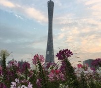 南京广州旅游攻略(杭州到广州旅游攻略)