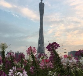 南京广州旅游攻略(杭州到广州旅游攻略)
