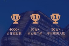 南京上海私人伴游 ​ “小而美”的新时代：2020年国内新跟团消费报告