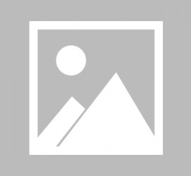 南京最新导游伴游雇用信息(最新导游伴游雇用信息大全)