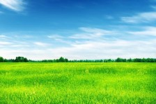 南京上海伴游 上海模特伴游微信号的交友宣言