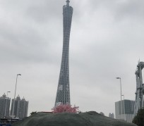 南京广州游玩攻略(广州游玩攻略景点大全免费)