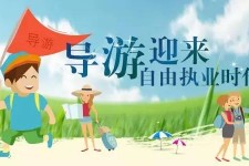 南京私人伴游 “网约导游”到底是正流行 还是不热闹
