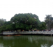南京福州旅游攻略(福州旅游攻略二日游)
