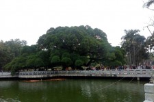 南京福州旅游攻略(福州旅游攻略二日游)
