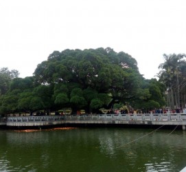 南京福州旅游攻略(福州旅游攻略二日游)