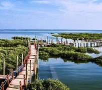 南京旅游哪里好玩(云南旅游哪里好玩)